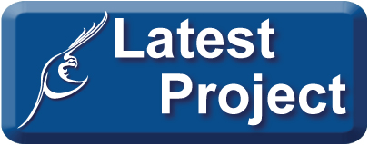 BRI Latest Project List