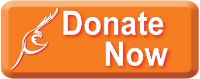 Donate Now