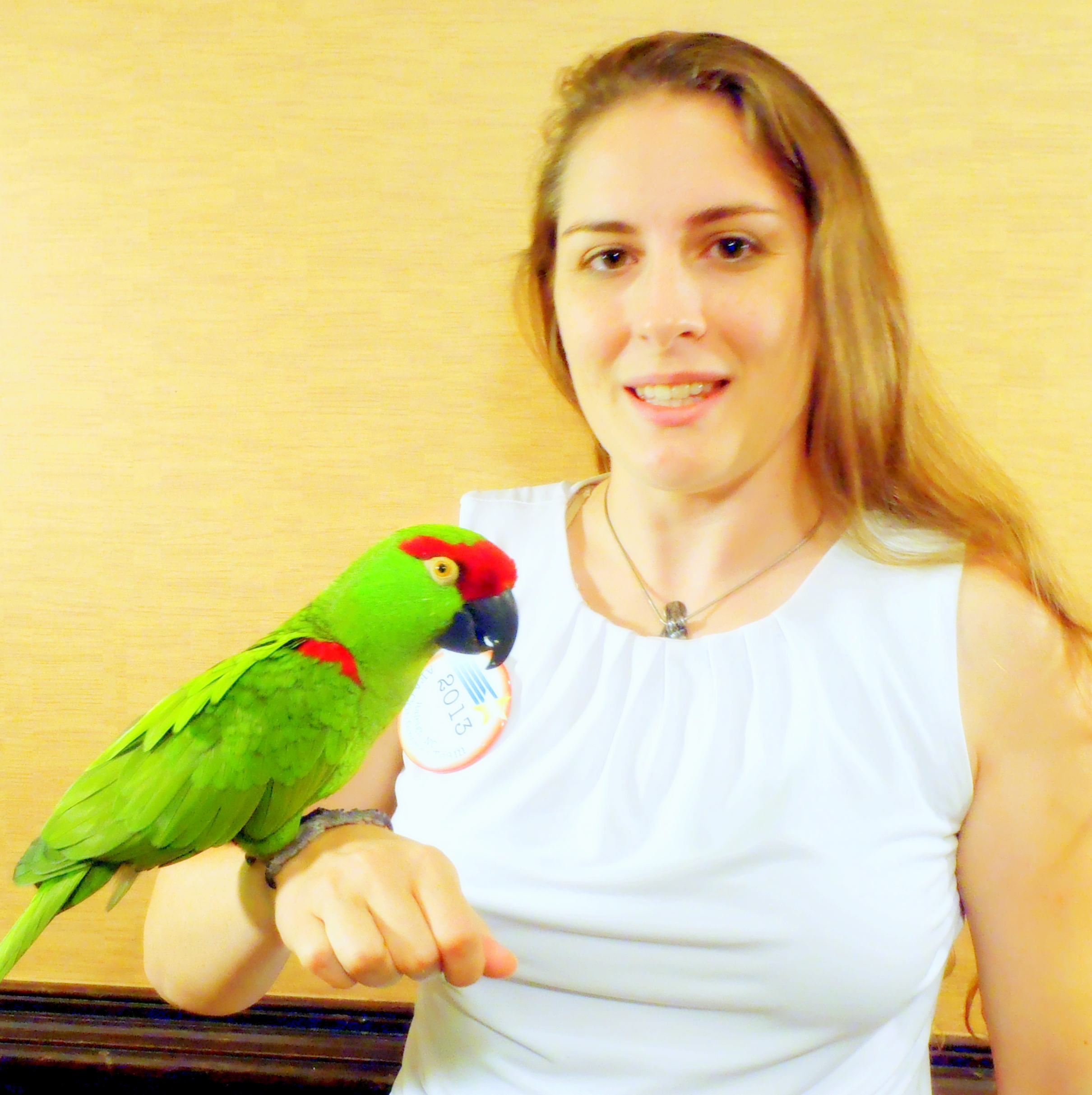 Connie & Thick-billed Parrot